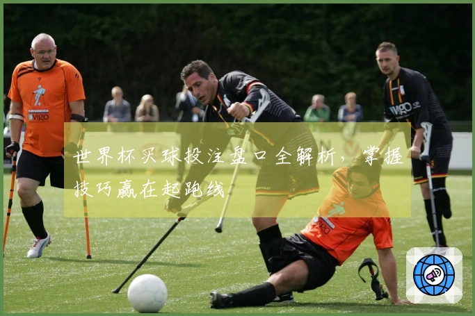 世界杯买球投注盘口全解析，掌握技巧赢在起跑线