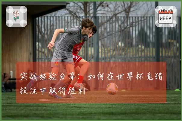 实战经验分享：如何在世界杯竞猜投注中取得胜利