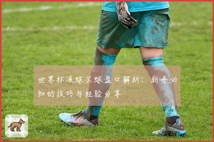 世界杯滚球买球盘口解析：新手必知的技巧与经验分享