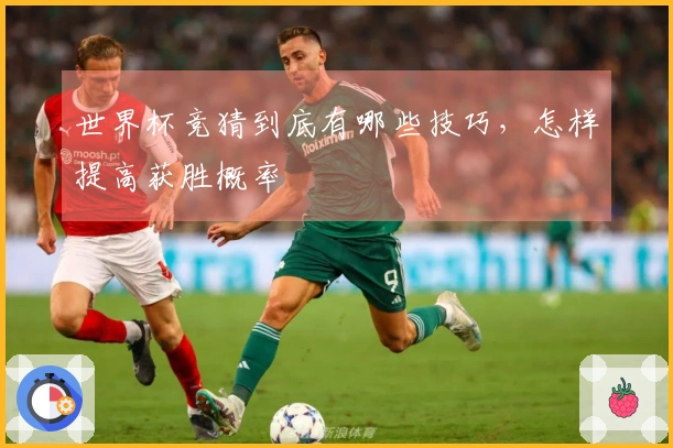 世界杯竞猜到底有哪些技巧，怎样提高获胜概率